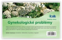 GYNEKOLOGICKÉ PROBLÉMY