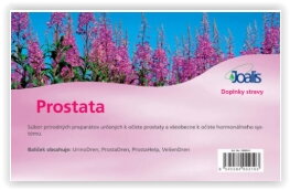 PROSTATA