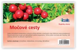 MOČOVÉ CESTY